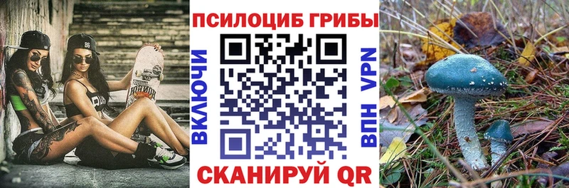Галлюциногенные грибы GOLDEN TEACHER Купить закладки Россошь